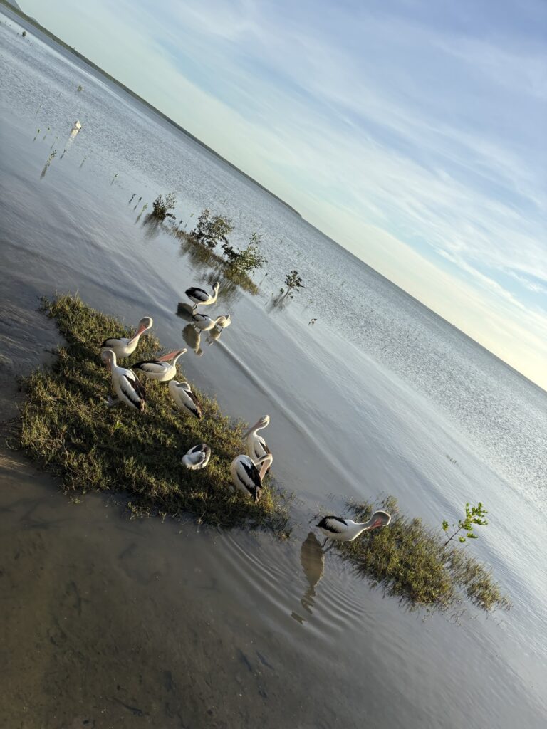 ケアンズ　エスプラネード