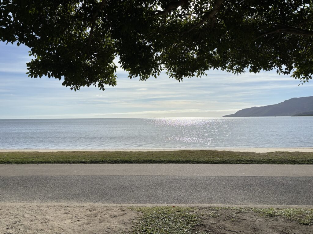 マディーズカフェ