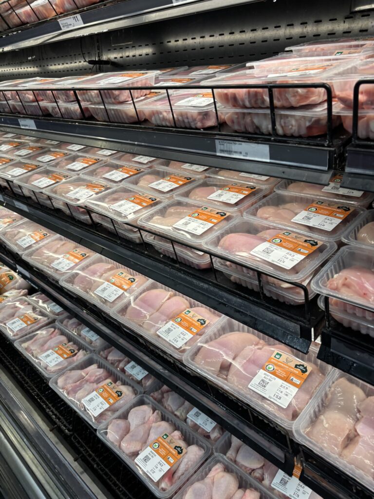 ケアンズ　ウールワース