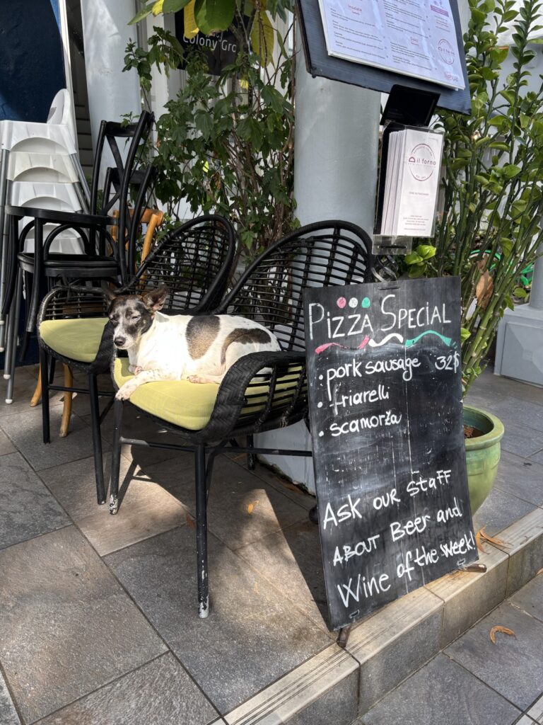 オーストラリア　パームコーブ