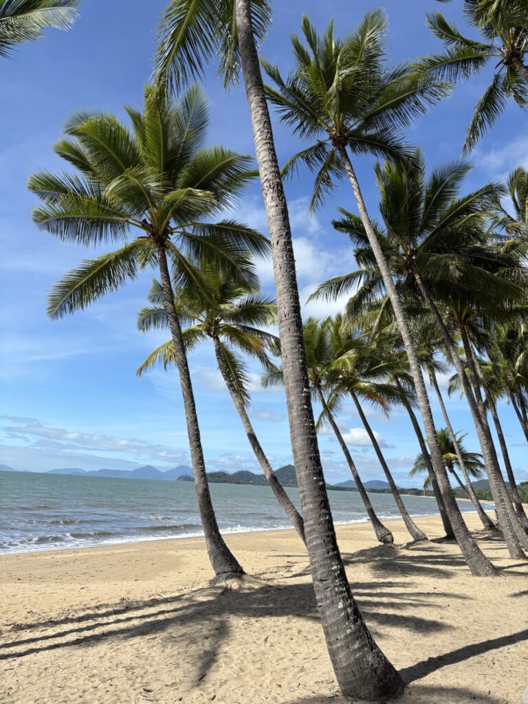 オーストラリア　パームコーブ