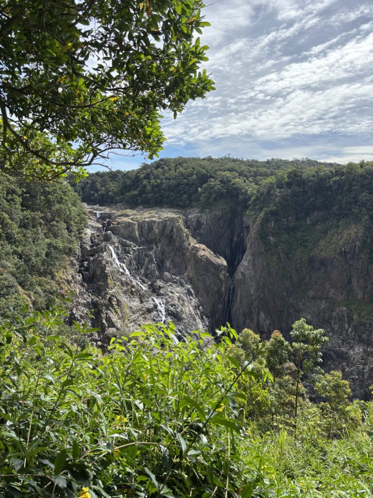 バロンフォール