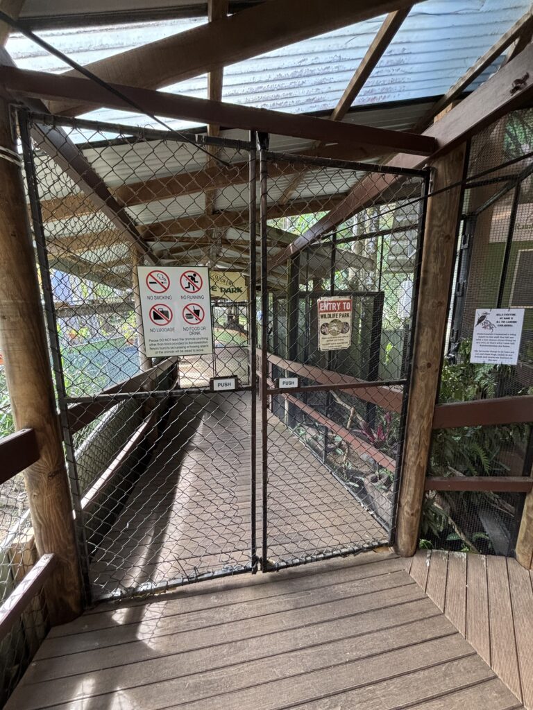 キュランダ　レインフォレステーション　動物園