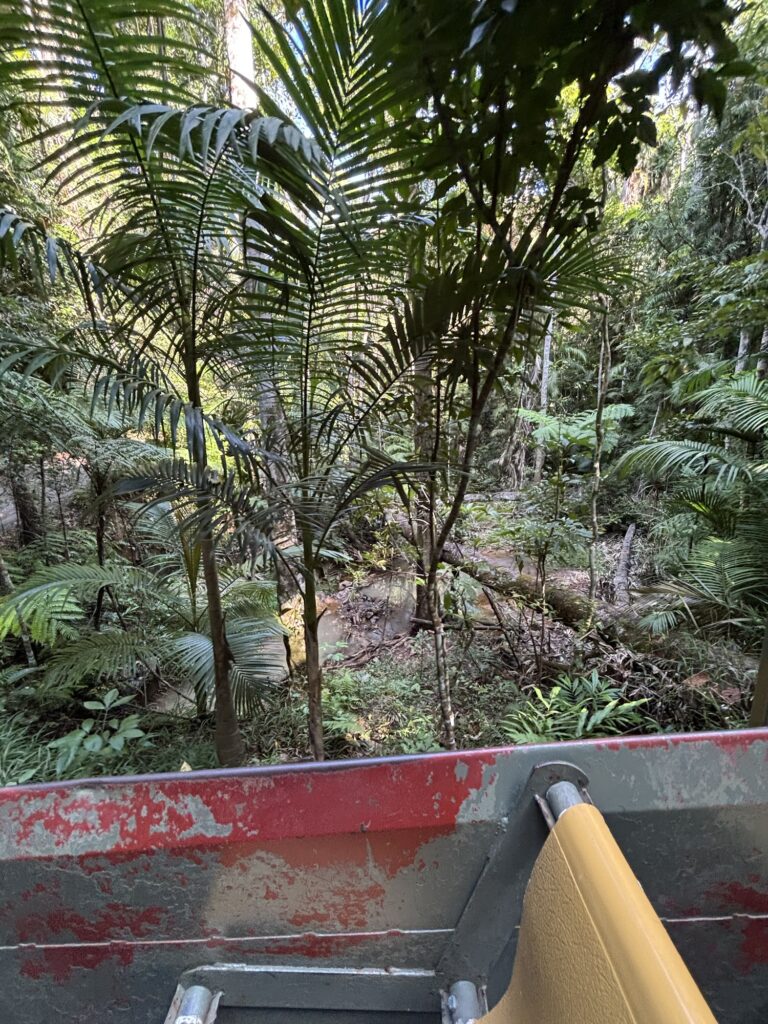 キュランダ　レインフォレステーション　アーミーダック