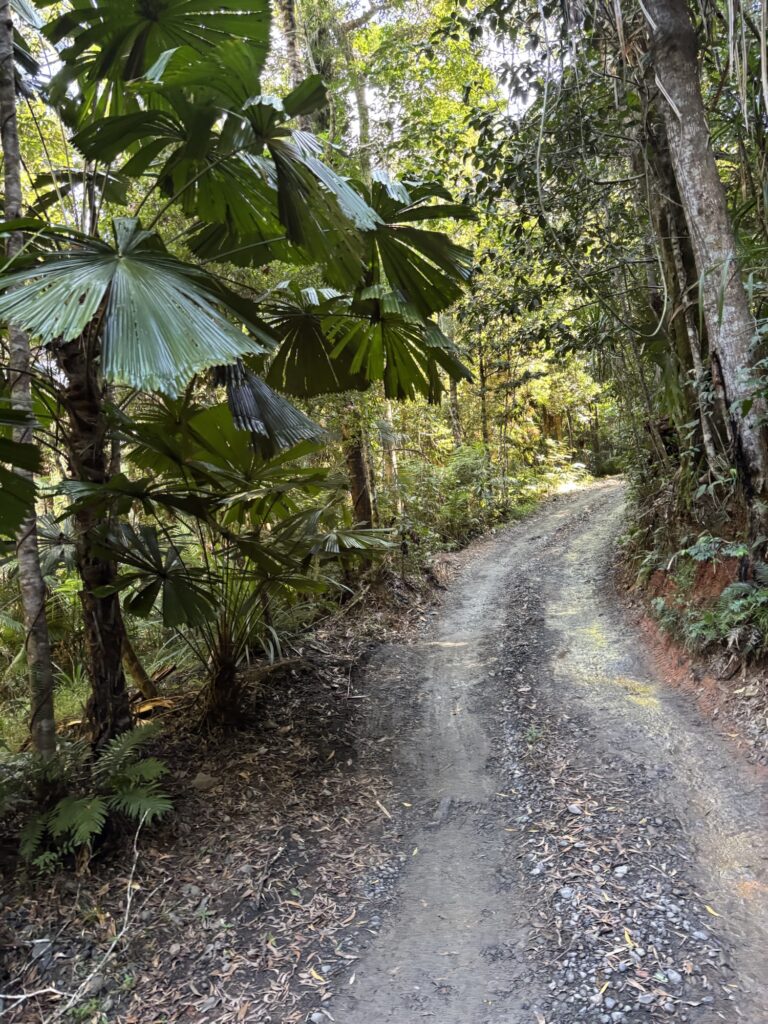 キュランダ　レインフォレステーション　アーミーダック