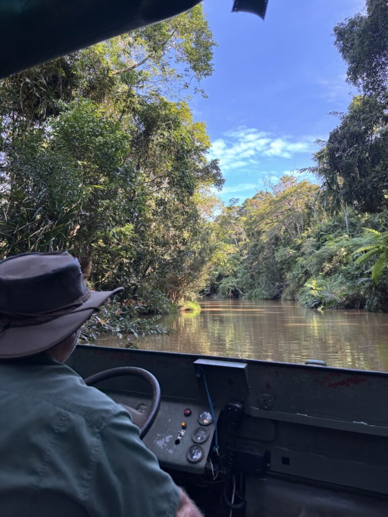 キュランダ　レインフォレステーション　アーミーダック