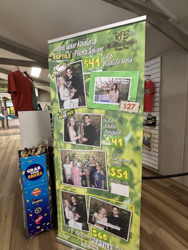 キュランダ　レインフォレステーション　コアラ抱っこ