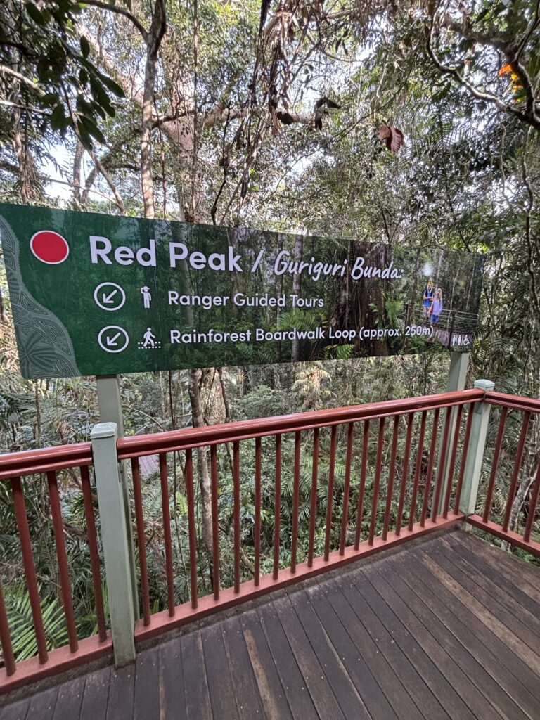 スカイレール　Red Peak