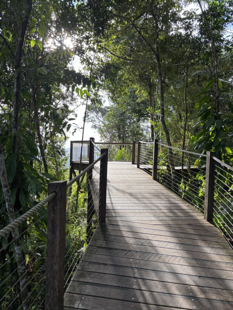 スカイレール　Red Peak