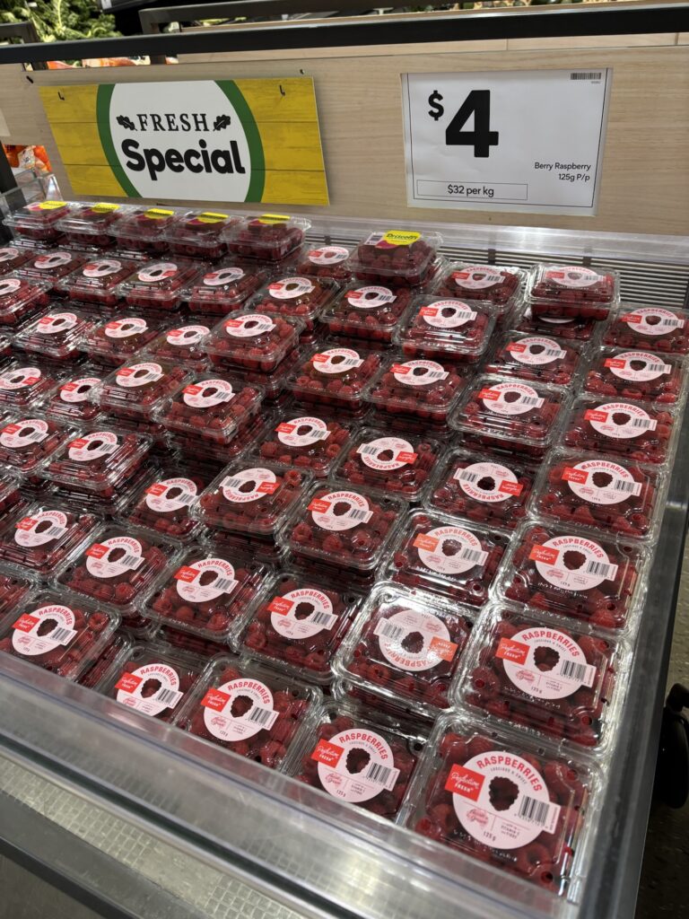 ケアンズ　ウールワース