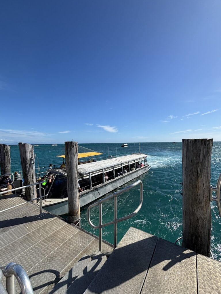 グラスボトムボート