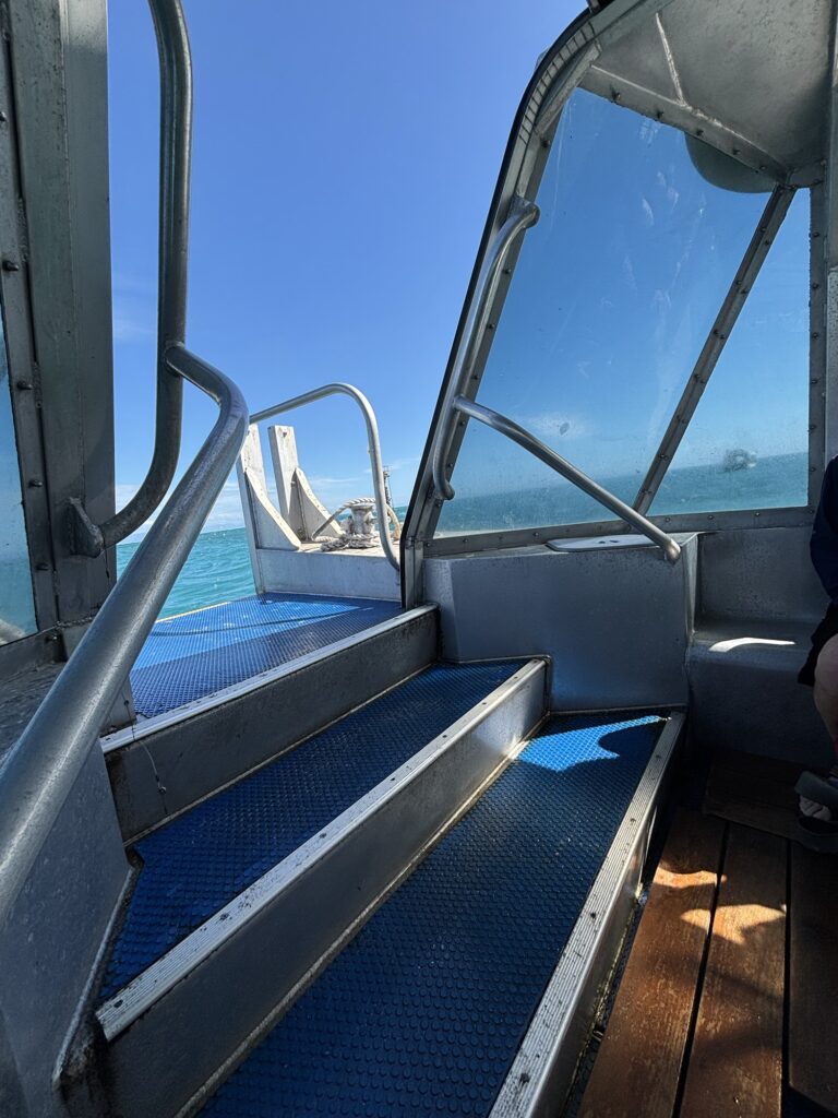 グラスボトムボート