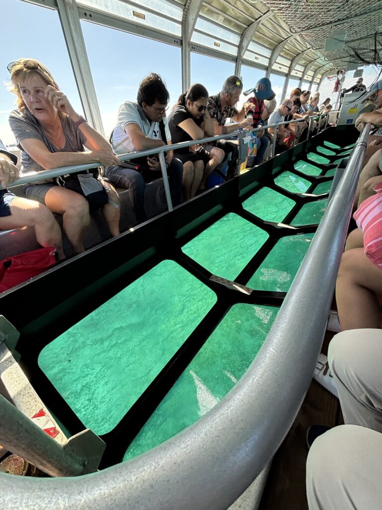 グラスボトムボート