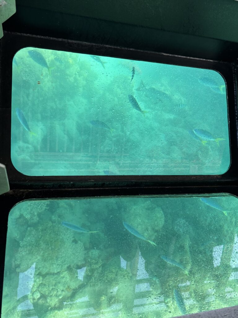 グラスボトムボート