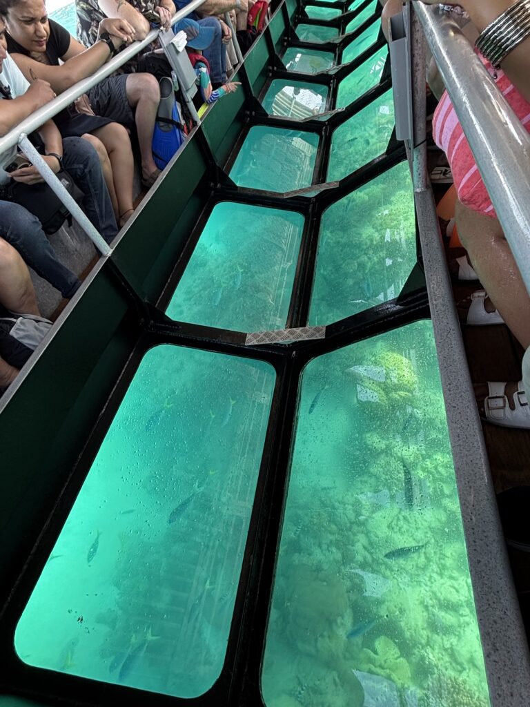 グラスボトムボート