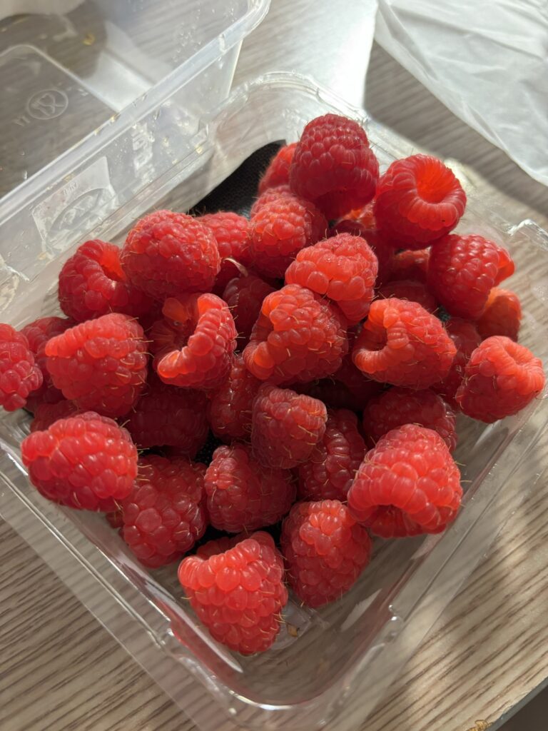 ケアンズ　ウールワース