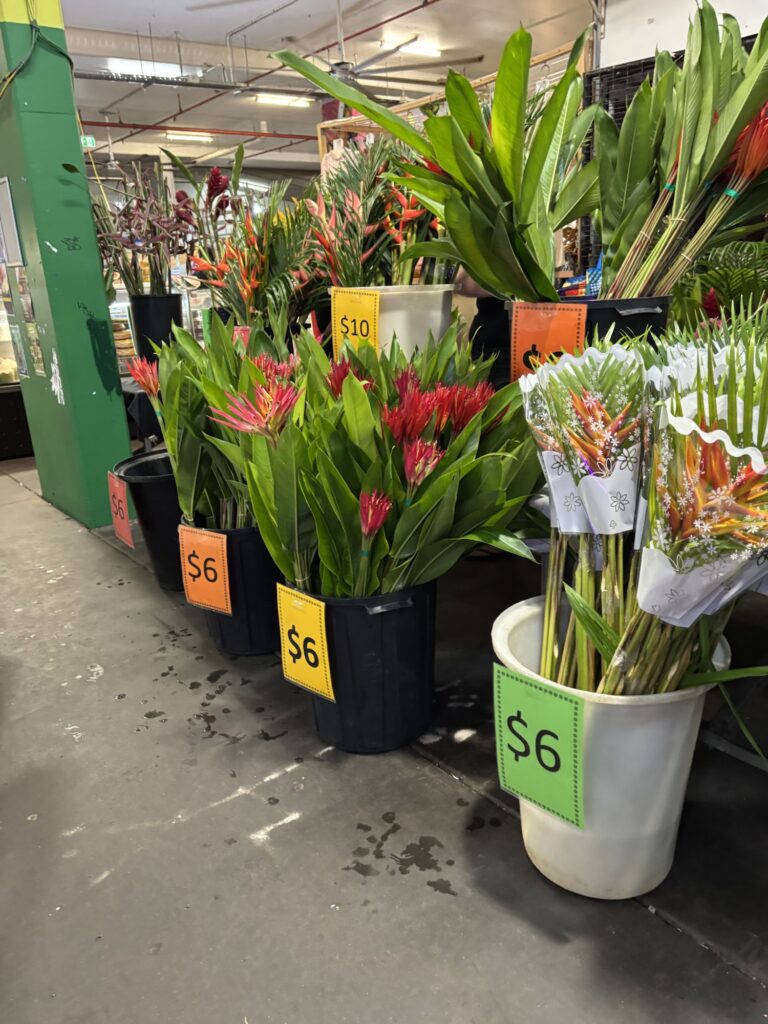 ラスティーズマーケット