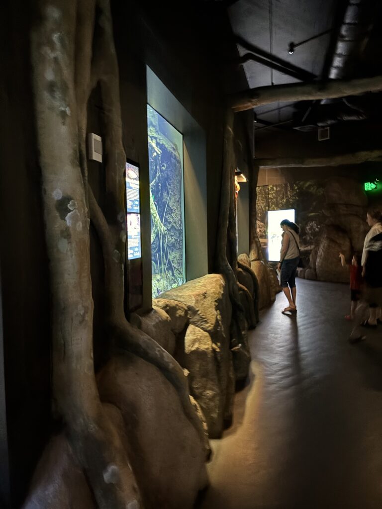 ケアンズ水族館