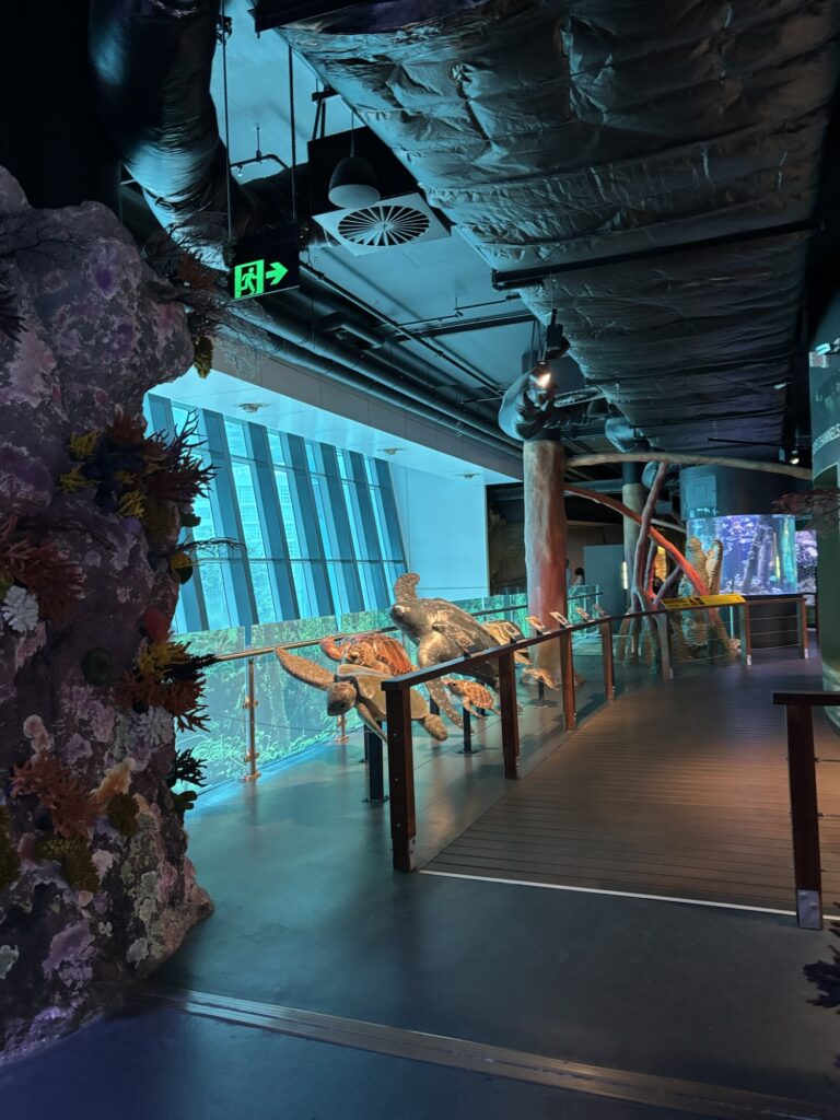 ケアンズ水族館