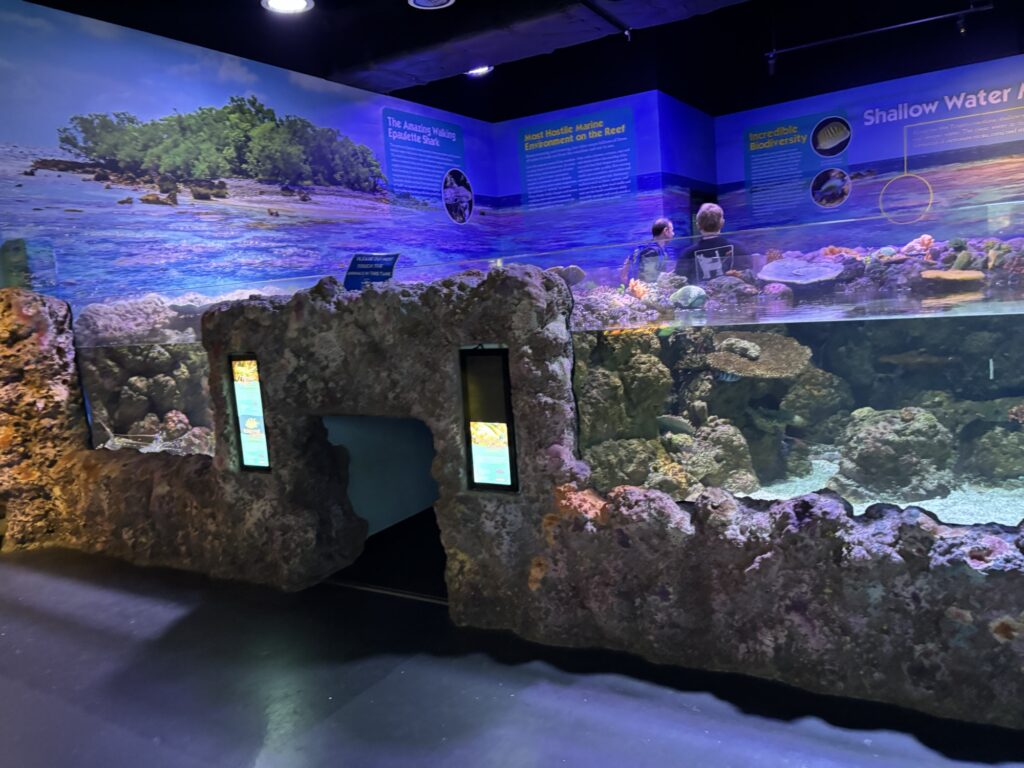 ケアンズ水族館