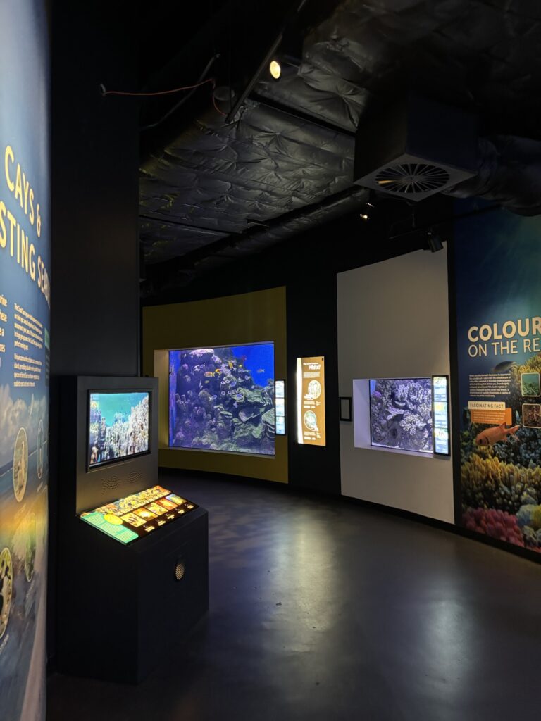 ケアンズ水族館