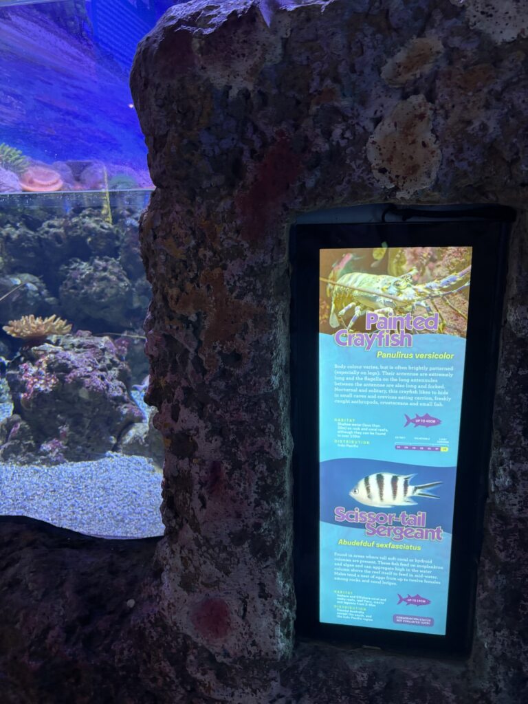 ケアンズ水族館