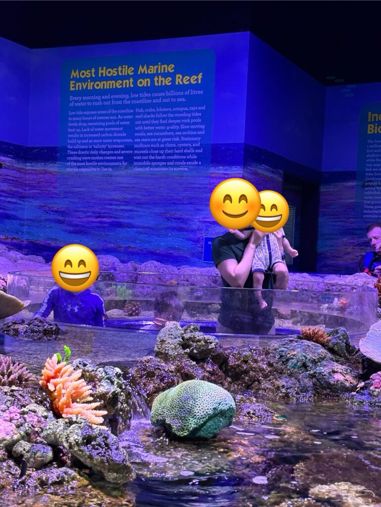 ケアンズ水族館