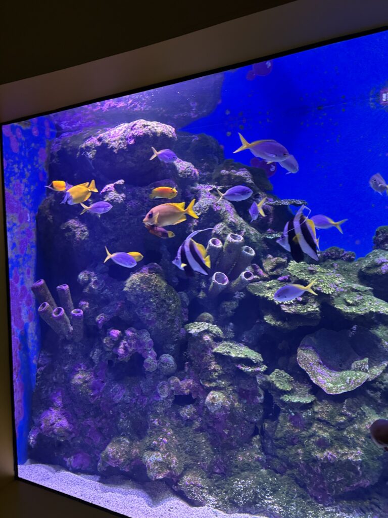 ケアンズ水族館