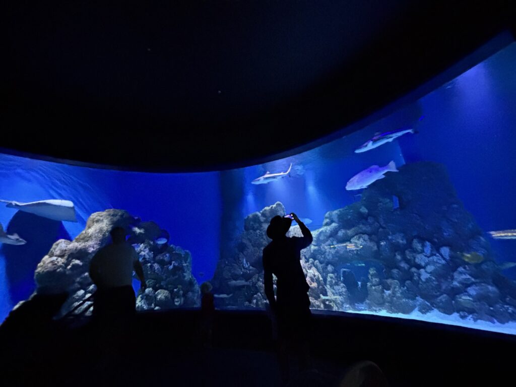 ケアンズ水族館