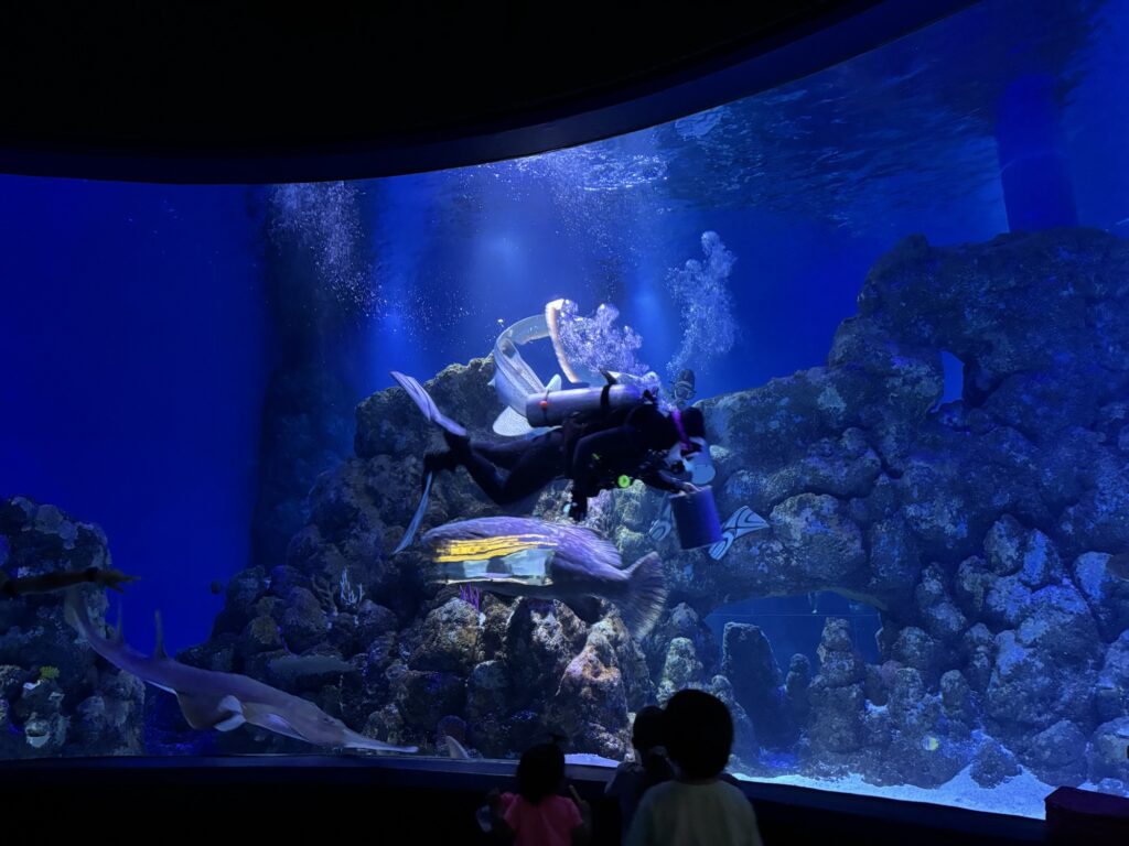 ケアンズ水族館