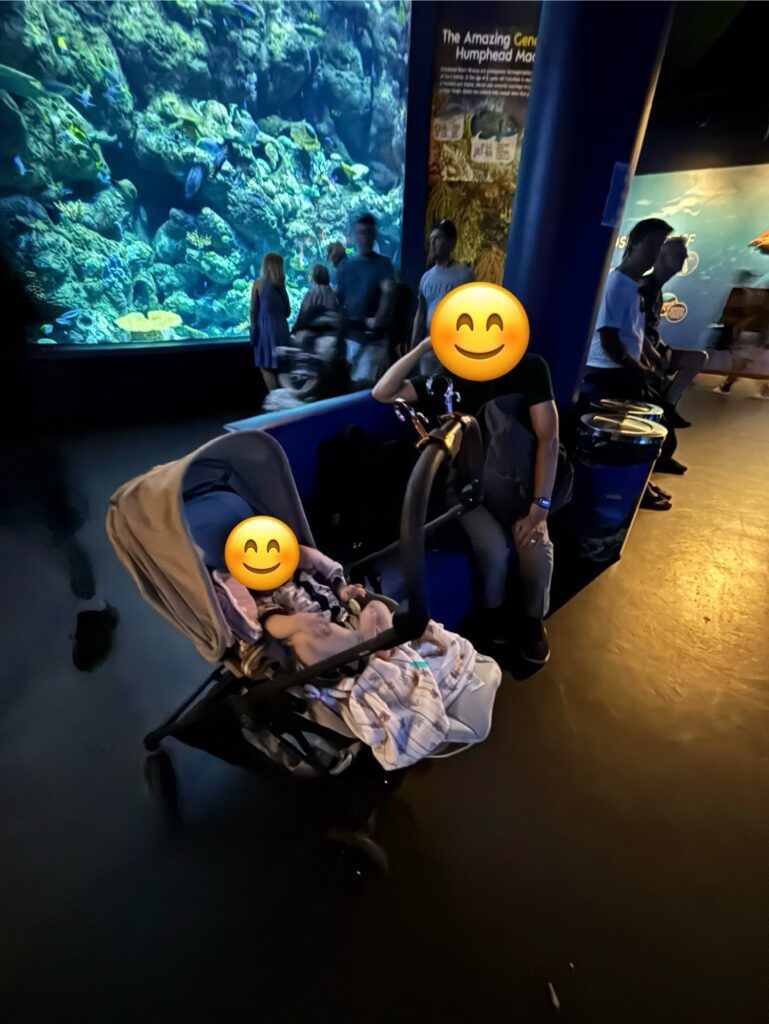 ケアンズ水族館