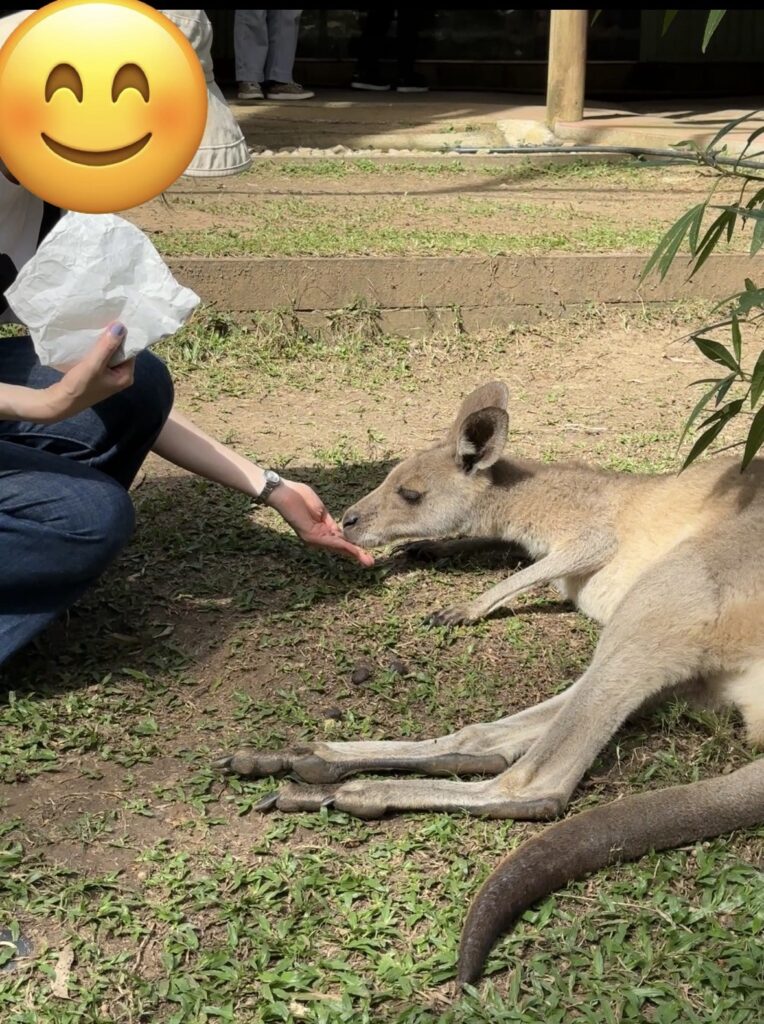 キュランダ　レインフォレステーション　動物園