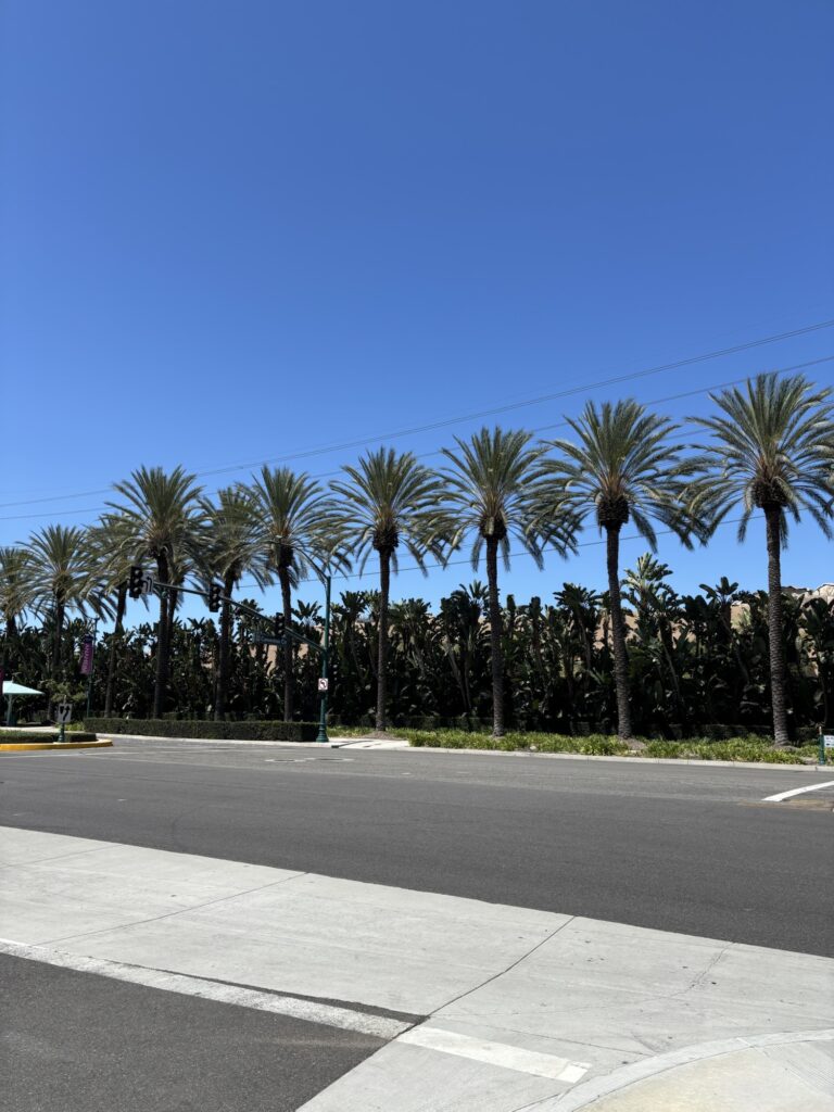 アナハイム カリフォルニア ディズニー