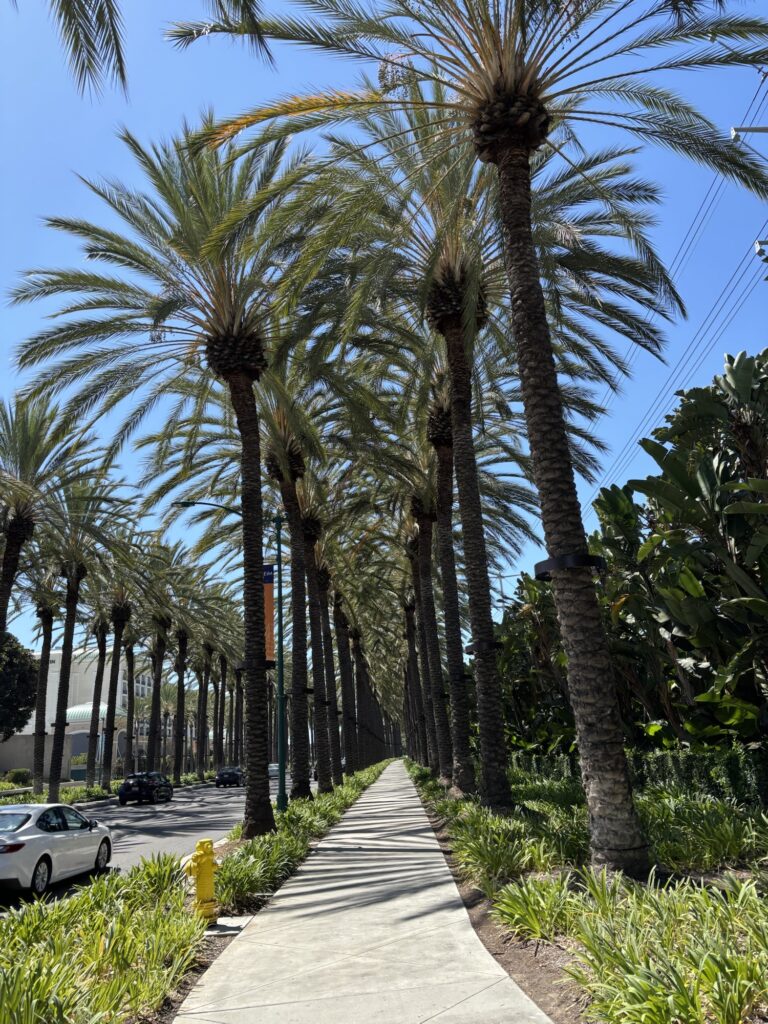 アナハイム カリフォルニア ディズニー