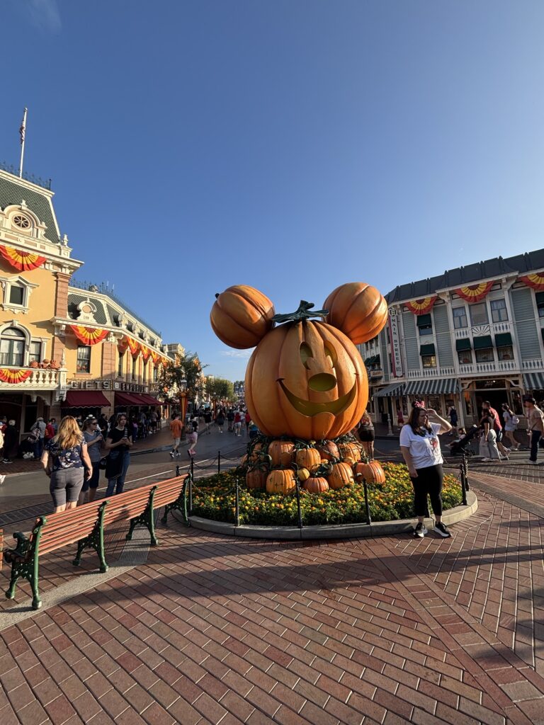 カリフォルニア ディズニーランド・パーク