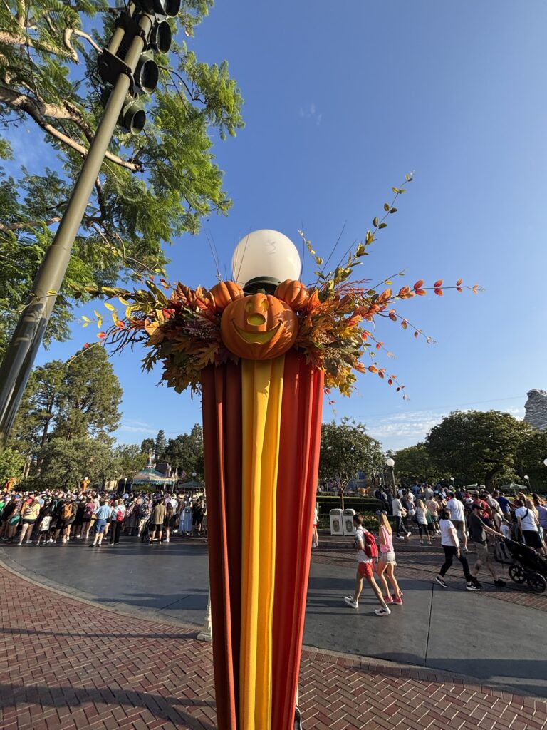 カリフォルニア ディズニーランド・パーク