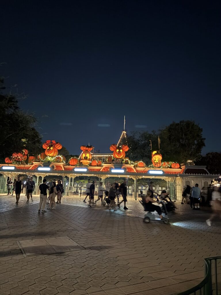 ディズニーランド・パーク