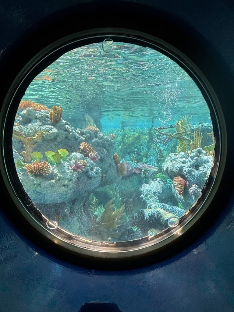 ディズニーランド・パーク