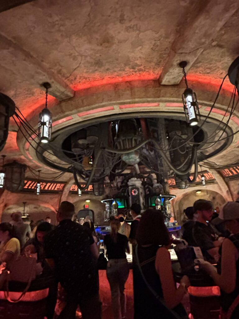 ディズニーランド・パーク　オーガズ・カンティーナ